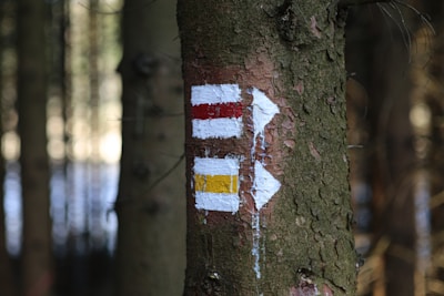 A tree trunk with painted directional trail markers in a forest. The markers are two white arrows, one outlined in red and the other in yellow, painted on the bark. The background features blurred trees, creating a natural woodland setting.