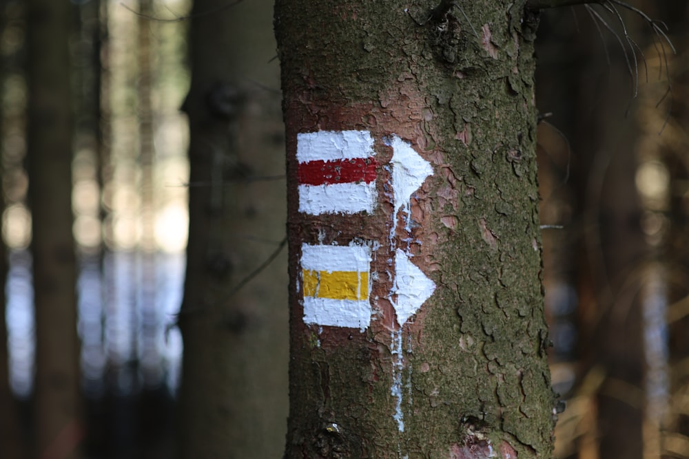 red and white arrow sign on brown tree trunk