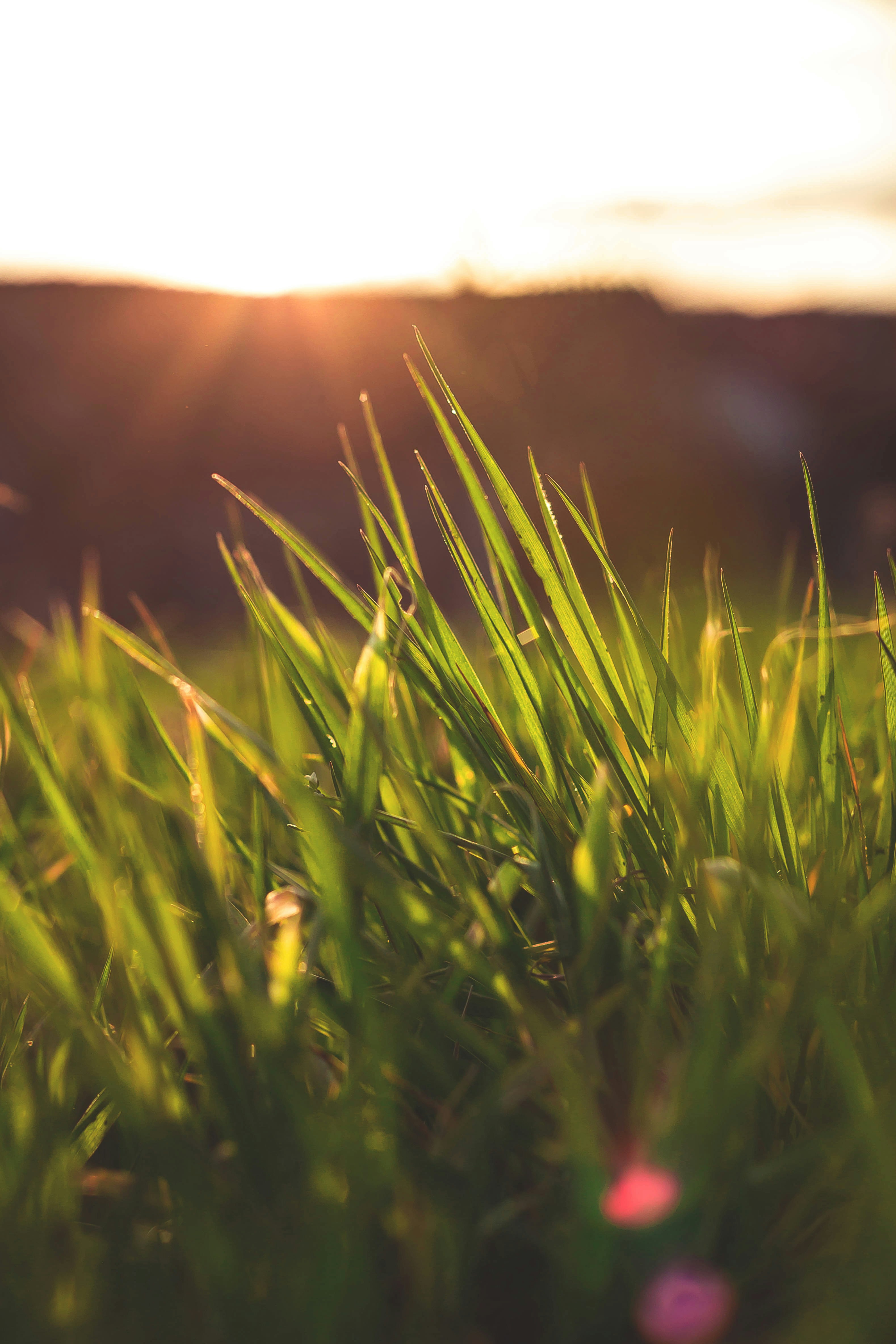 Photo by dariuscotoi