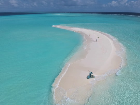 aerial view of beach during daytime in Baa Atoll Maldives