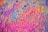 Vibrant and colorful powder scattered across a surface, creating a textured and dynamic pattern with a blend of hues.