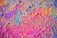 Vibrant and colorful powder scattered across a surface, creating a textured and dynamic pattern with a blend of hues.