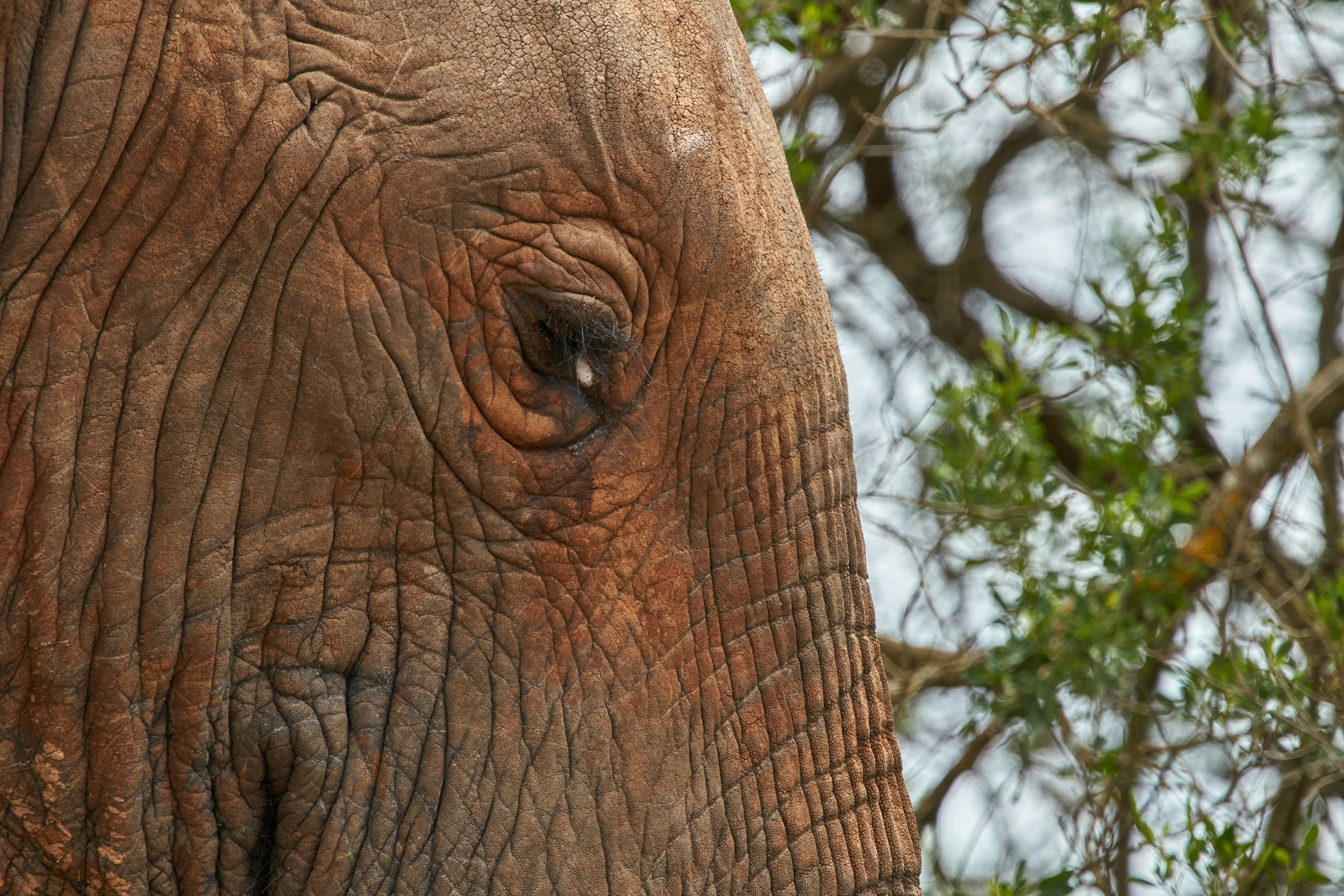 Photo by wolfgang_hasselmann