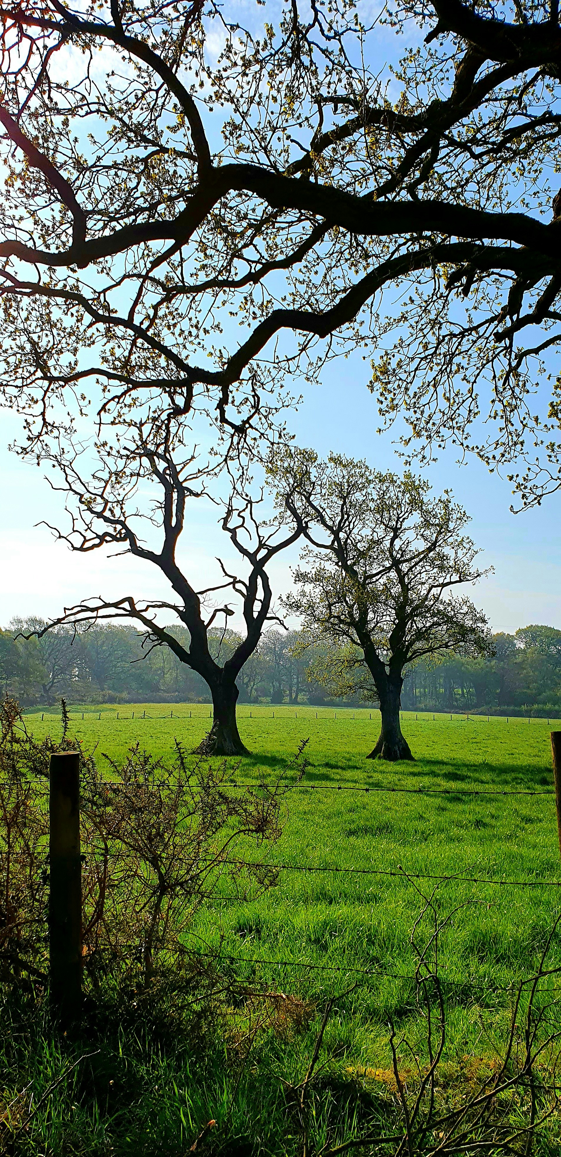 Photo by donnamlipton