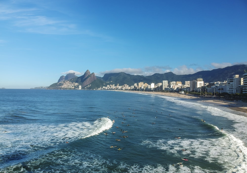 body of water near city buildings under blue sky during daytime