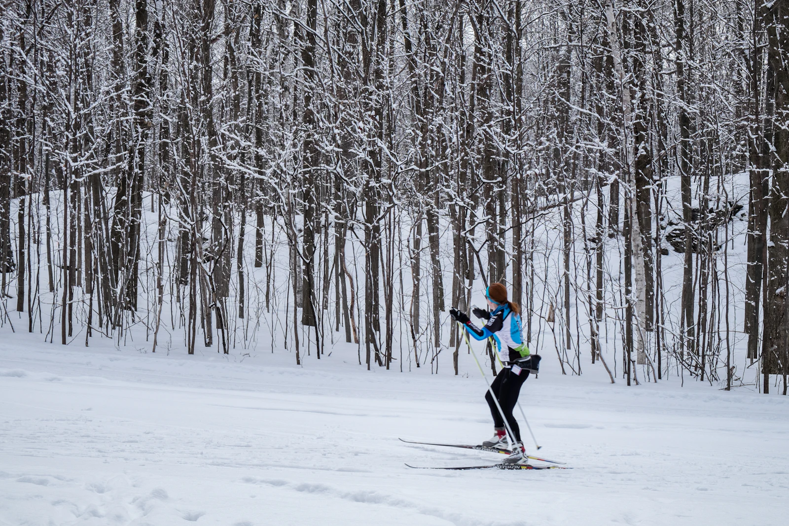 Deux skieurs de fond en pas de patineur sur une piste damée bordée de sapins — image d'illustration, non prise à Vallorcine