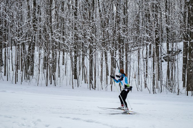 Cross-country skier in a light blue top and black tights striding along a groomed track beside a stand of snow-dusted bare trees