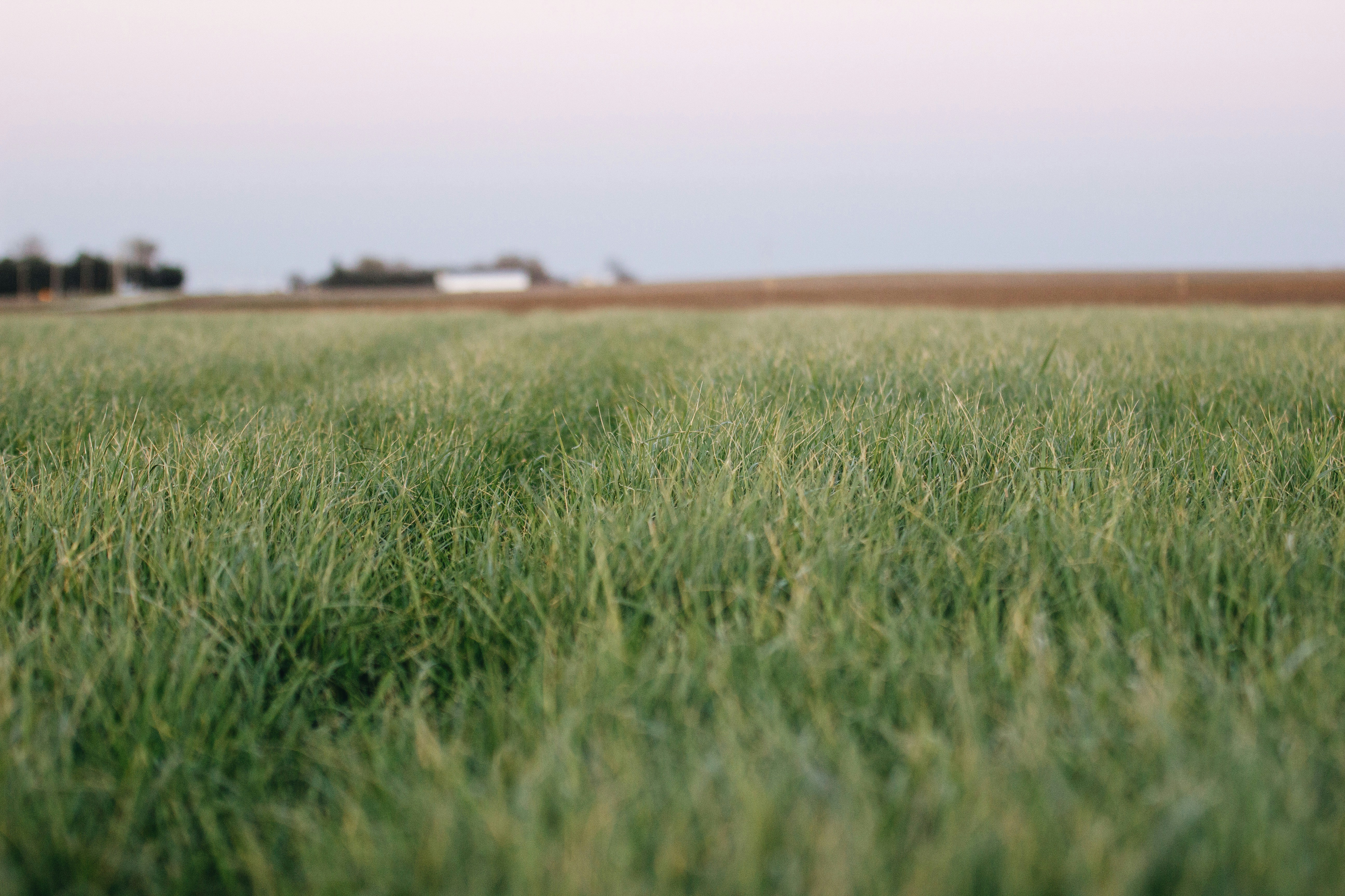 Photo by ridingseaside