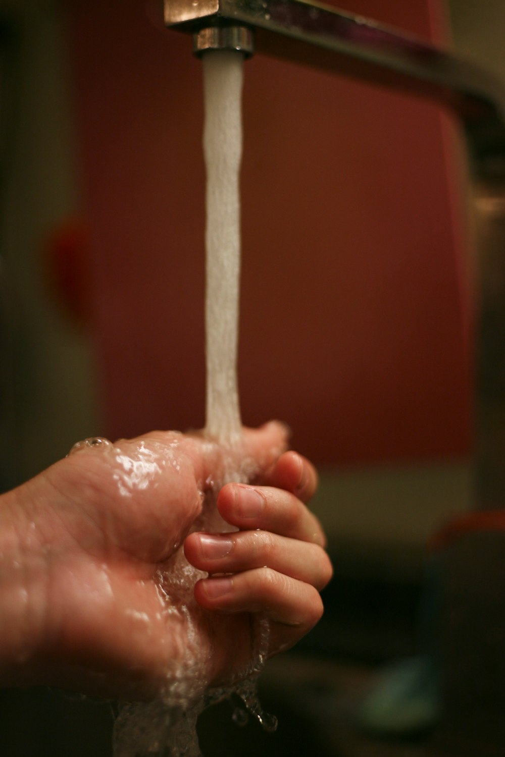 person holding white cotton candy