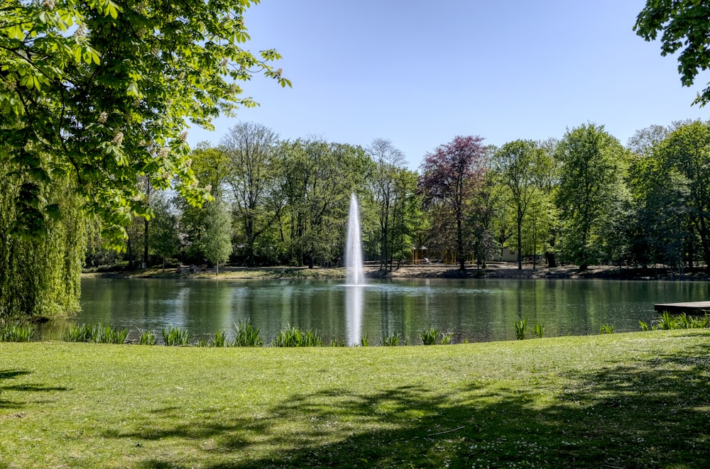 green grass field with water fountain