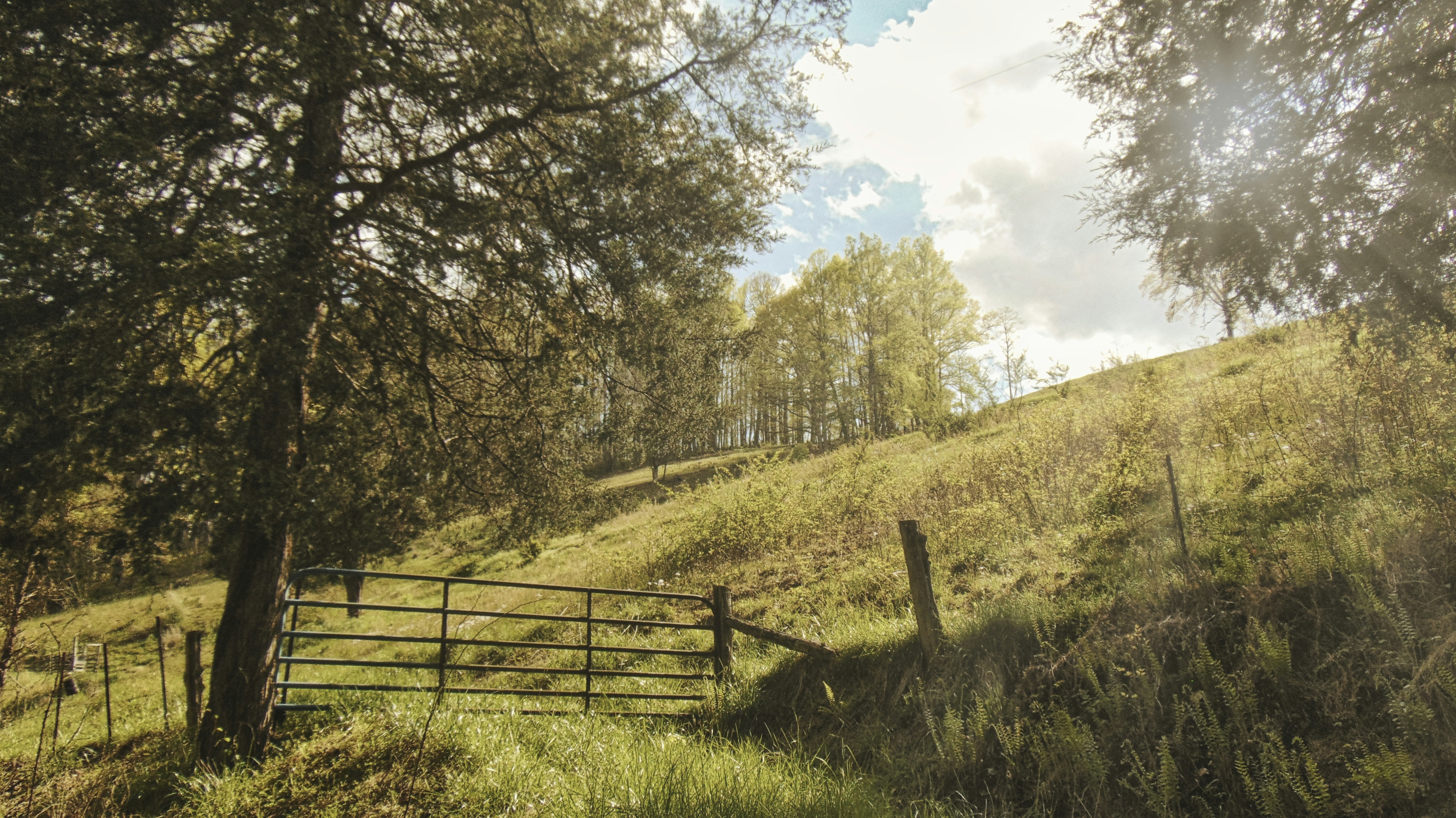 Photo by noahmsmith