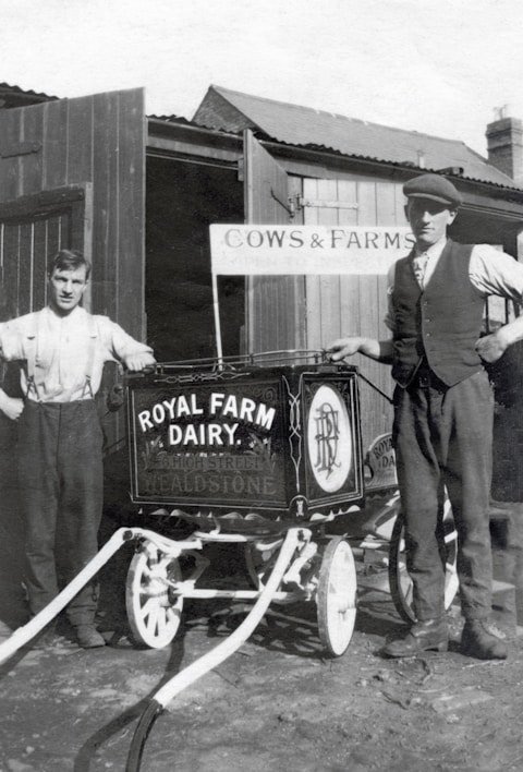Two men stand beside a vintage milk cart labeled 'Royal Farm Dairy' with ornate design work. One man is dressed in a shirt with suspenders, while the other wears a vest and cap. The setting appears to be a farm with wooden structures and a sign reading 'Cows & Farms'. The image is in black and white, suggesting it is from an earlier era.