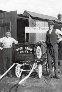 Two men stand beside a vintage milk cart labeled 'Royal Farm Dairy' with ornate design work. One man is dressed in a shirt with suspenders, while the other wears a vest and cap. The setting appears to be a farm with wooden structures and a sign reading 'Cows & Farms'. The image is in black and white, suggesting it is from an earlier era.