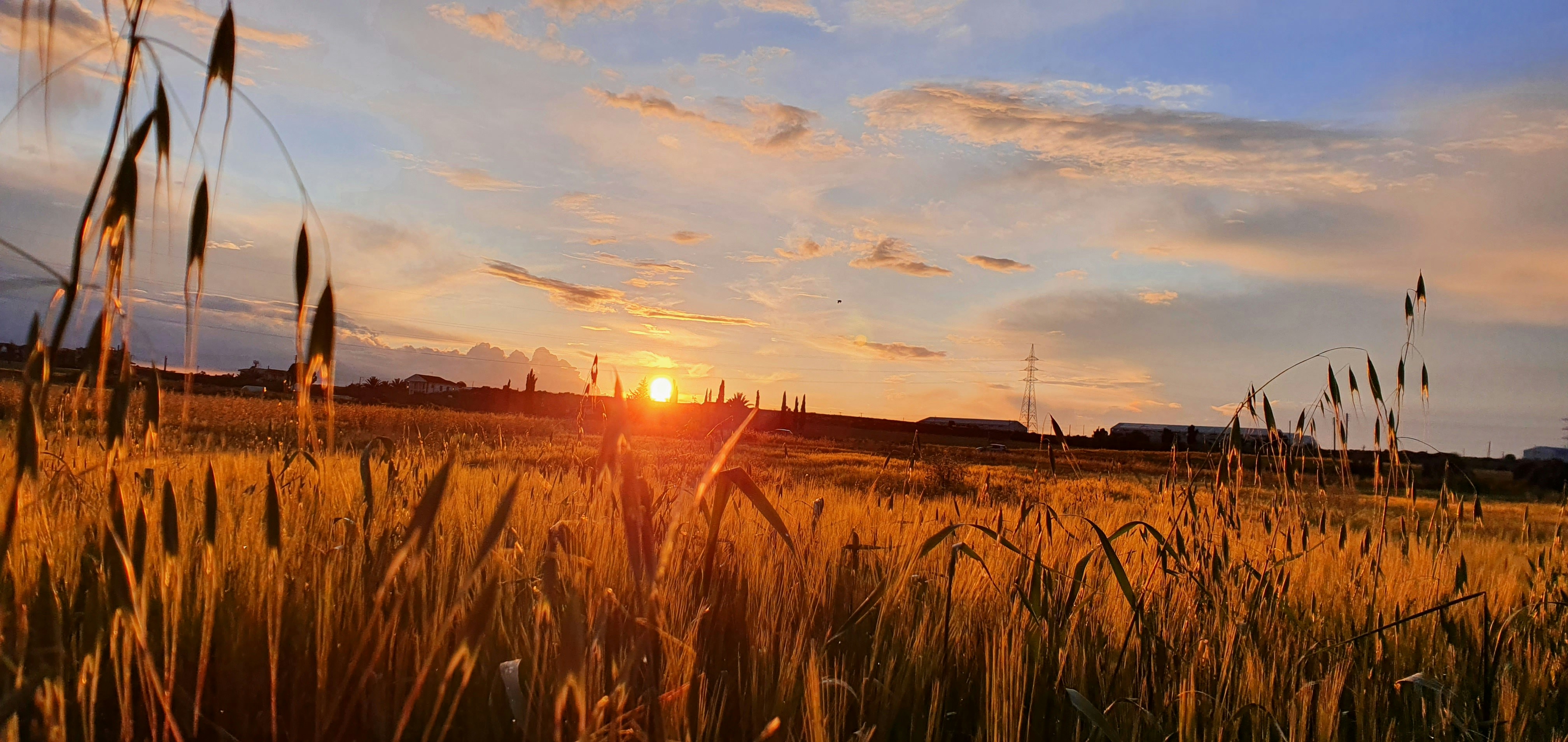 Photo by chrisnature