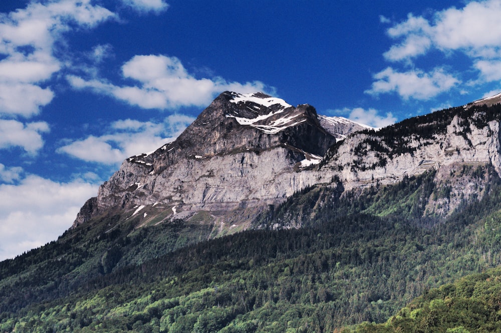 green trees on mountain under blue sky during daytime