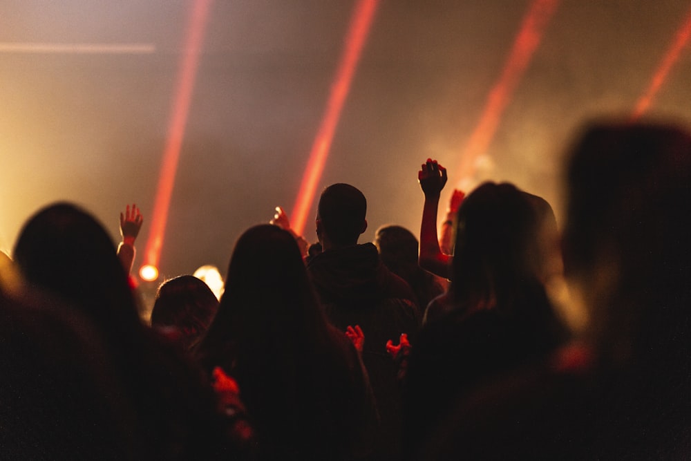 Personas que se reúnen en concierto durante la noche