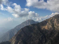 Best Pet-Friendly Cafes in Katra Where Your Dog Is as Welcome as You