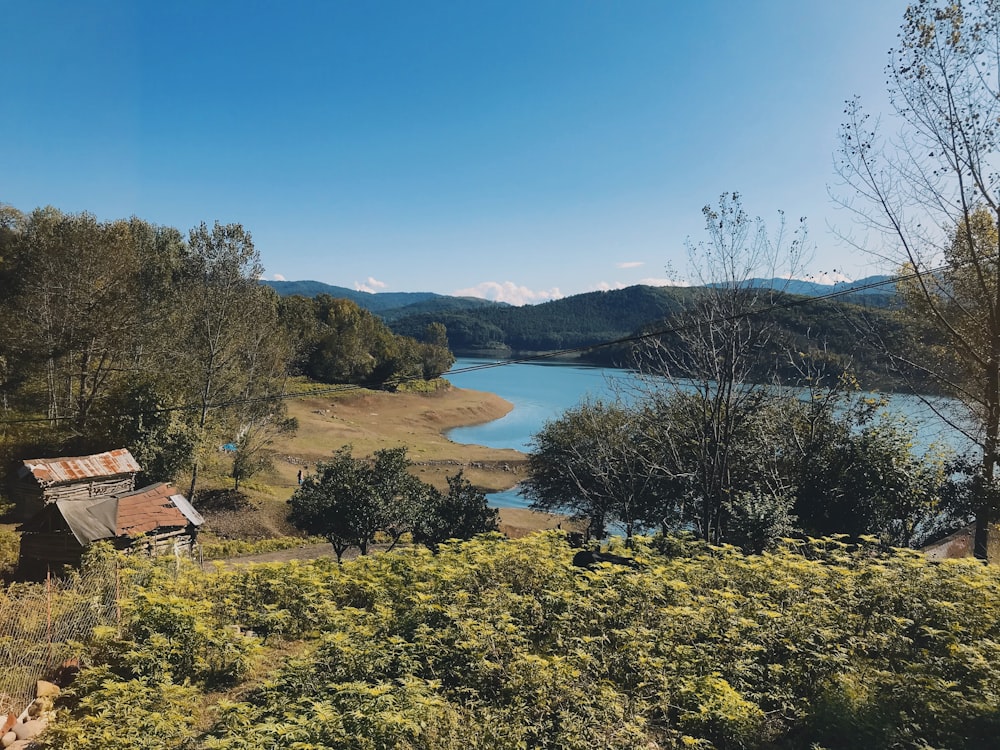 brown house near green trees and body of water during daytime