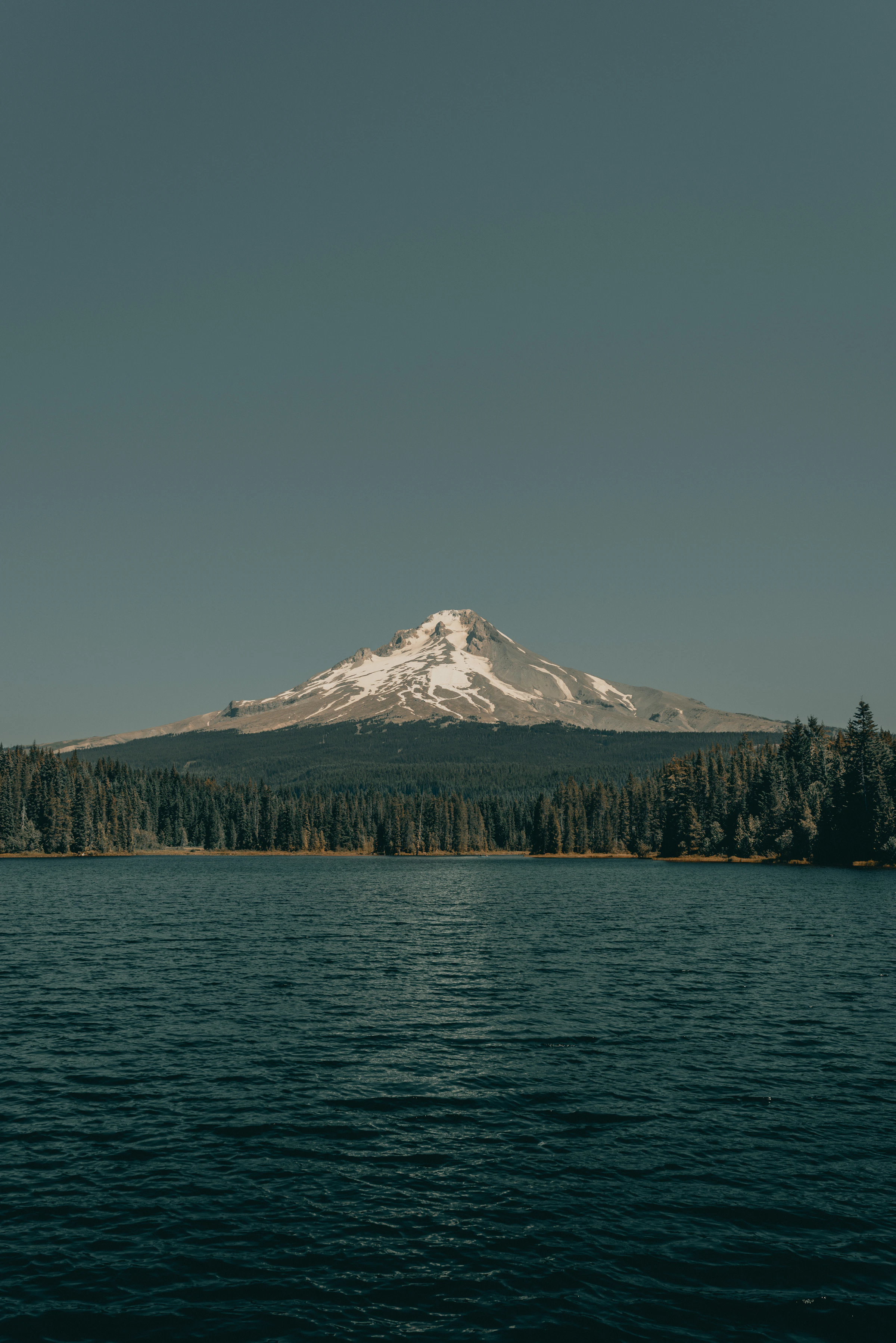 Mount Hood and forested lake along the West Coast