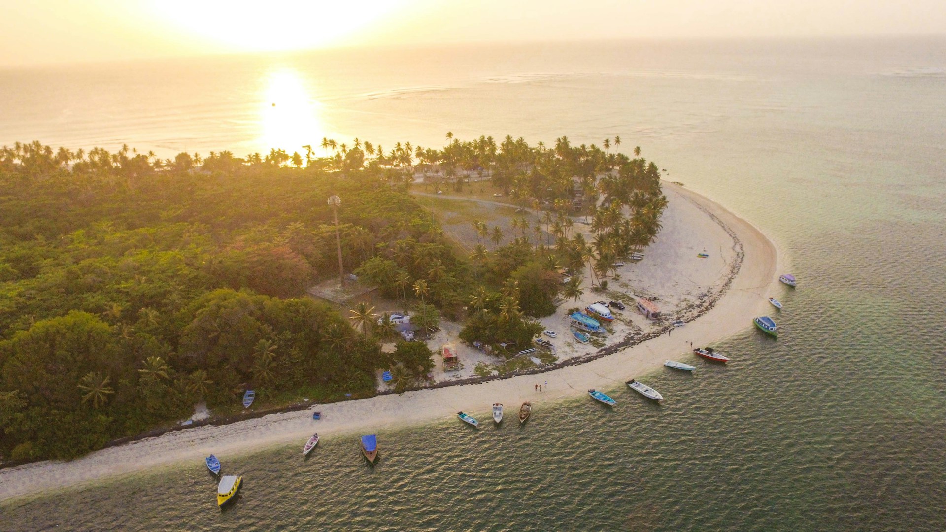 A panoramic view of a boat from Shark Tours Panama anchored near a lush tropical coastline at sunset.