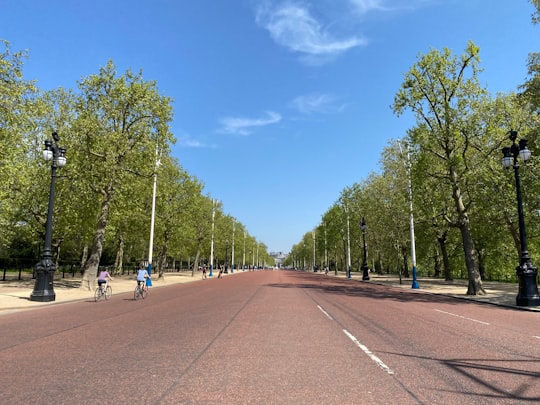 people walking on park during daytime in The Mall United Kingdom