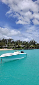 A small boat sailing near a white sandy beach with palm trees swaying gently.