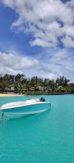 A small boat sailing near a white sandy beach with palm trees swaying gently.