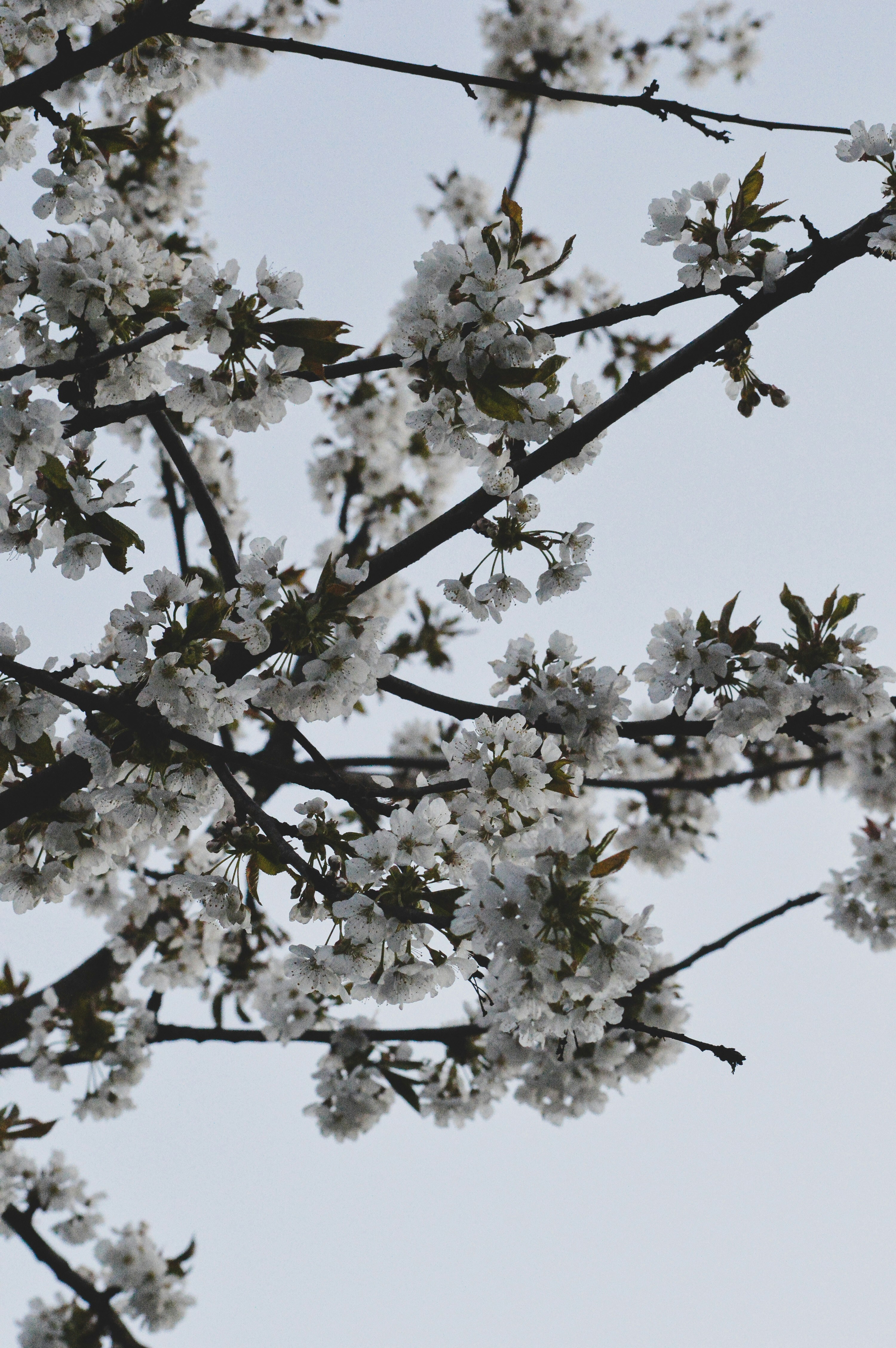 Photo by sam380967903116