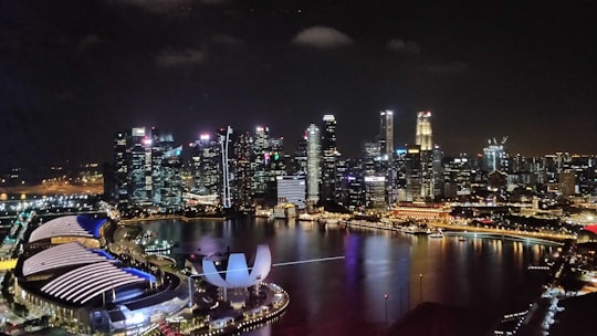 city skyline during night time in Gardens by the Bay Singapore