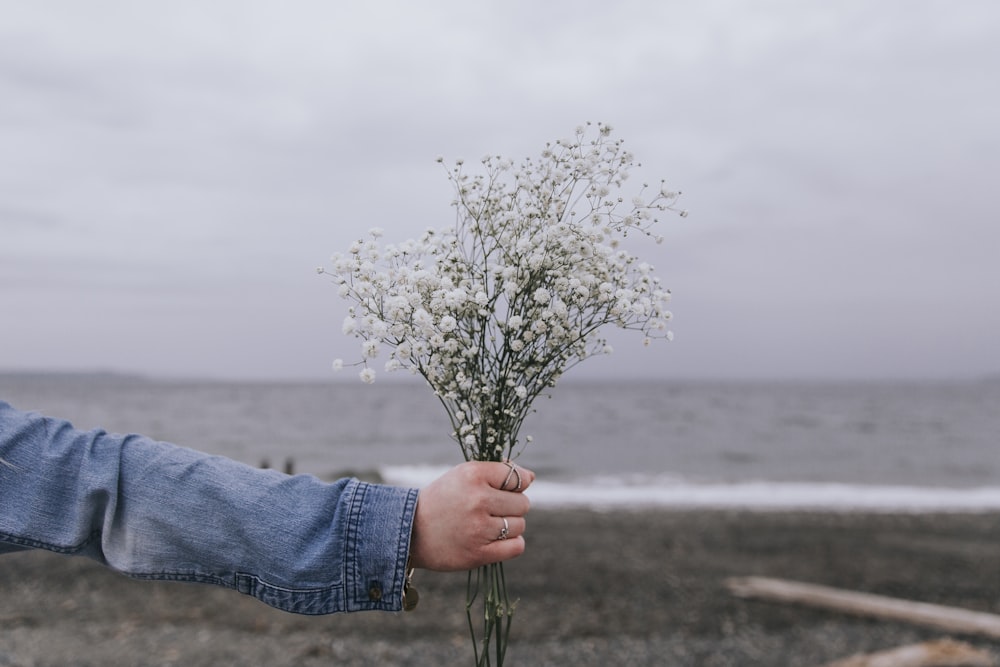 personne tenant une fleur blanche près d’un plan d’eau pendant la journée