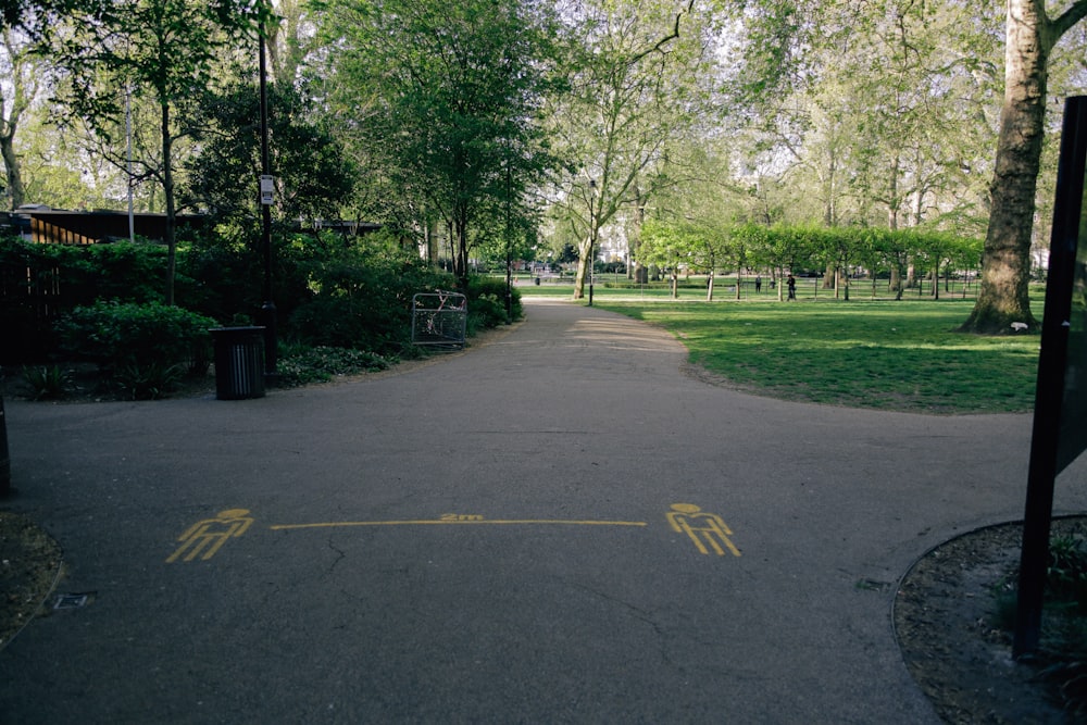 gray concrete road with trees on the side