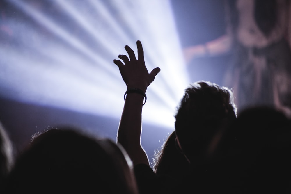 silhouette of people raising hands during night time