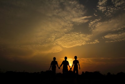 silhouette of 2 person standing on seashore during sunset