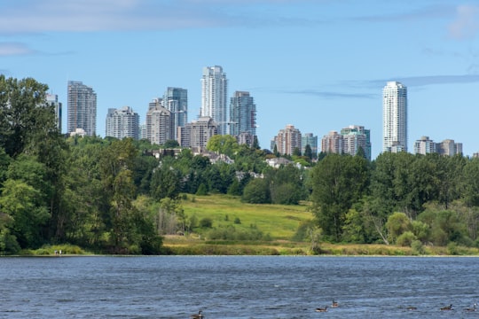 green trees near body of water during daytime in Burnaby Canada