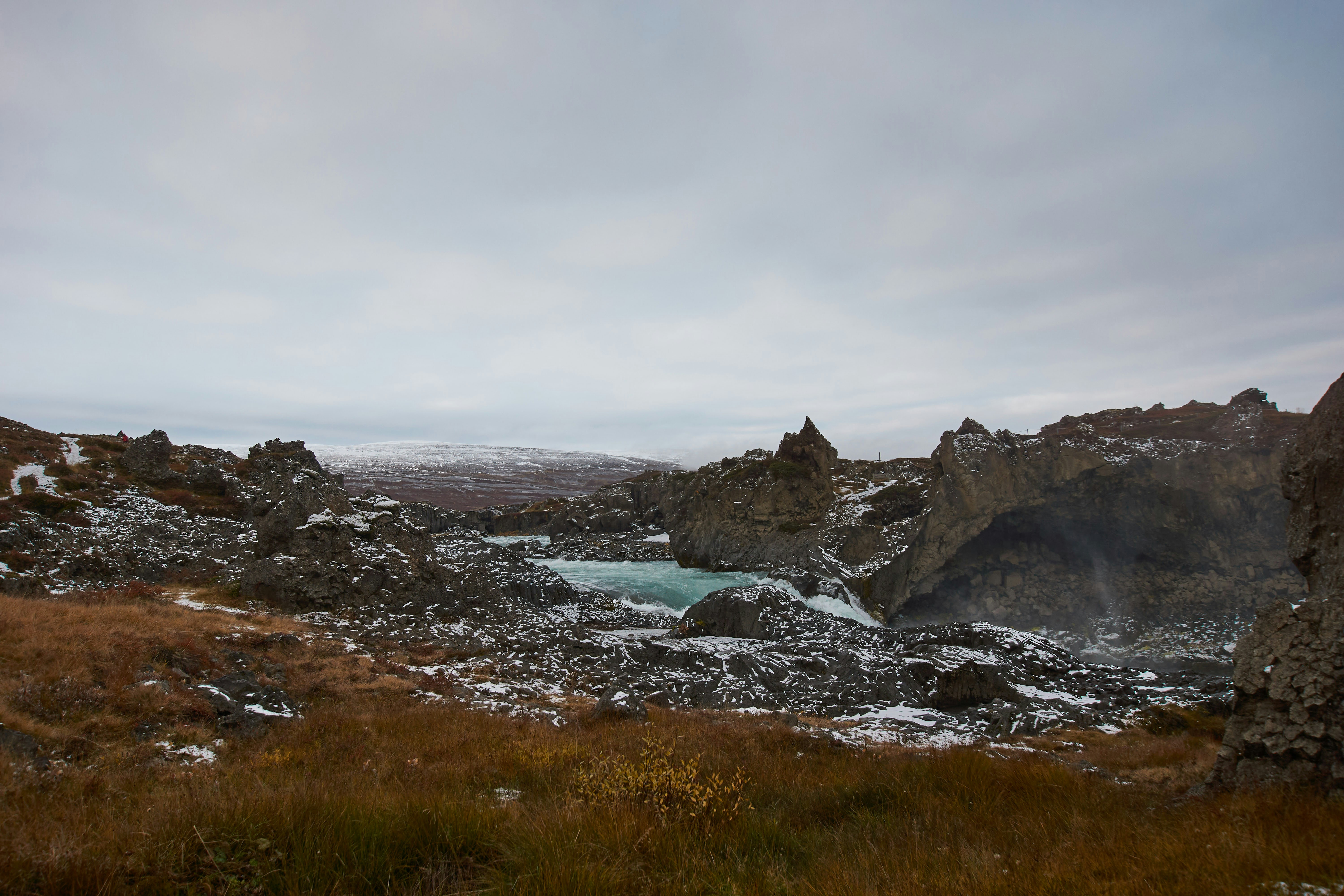 Photo by wolfgang_hasselmann