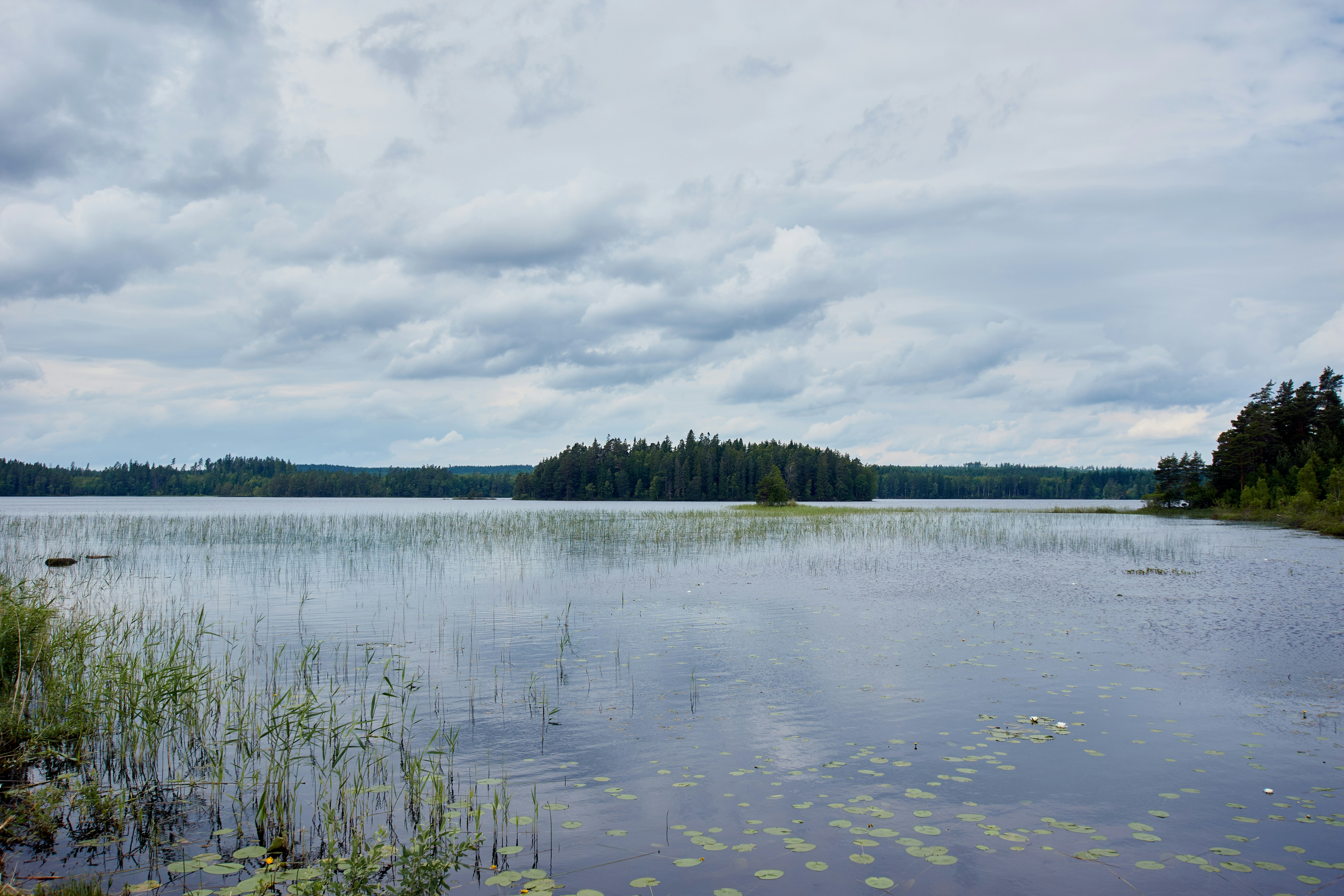 Photo by wolfgang_hasselmann