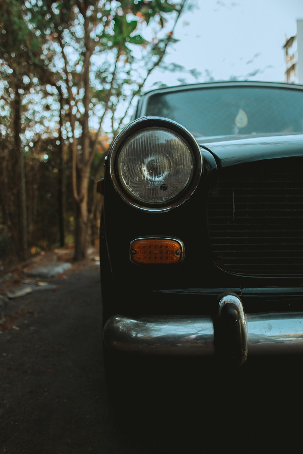 carro preto na floresta durante o dia