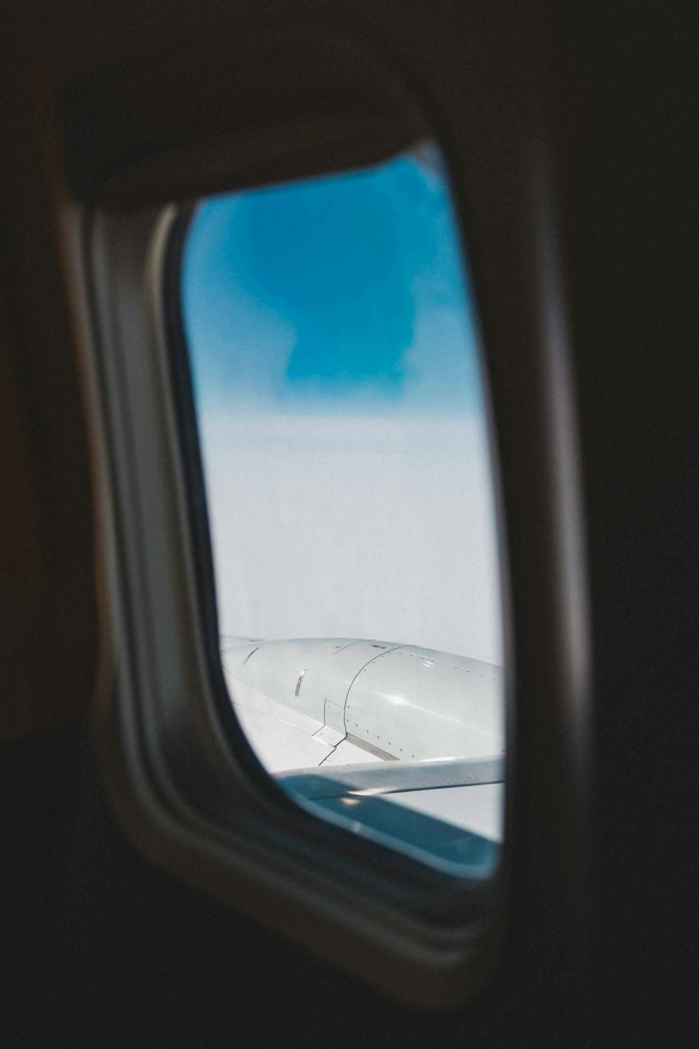 white and blue airplane wing