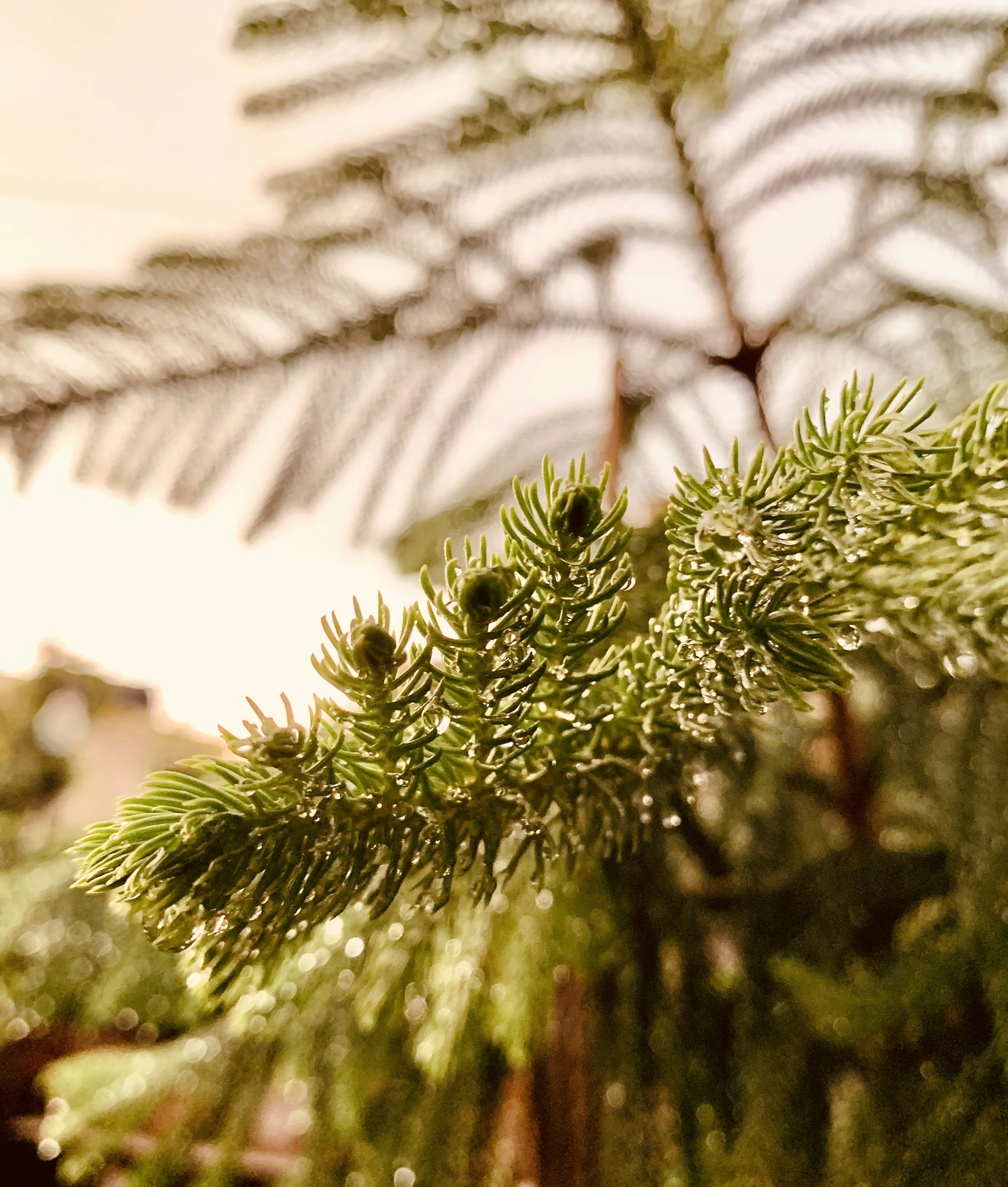 Photo by douxreverie93