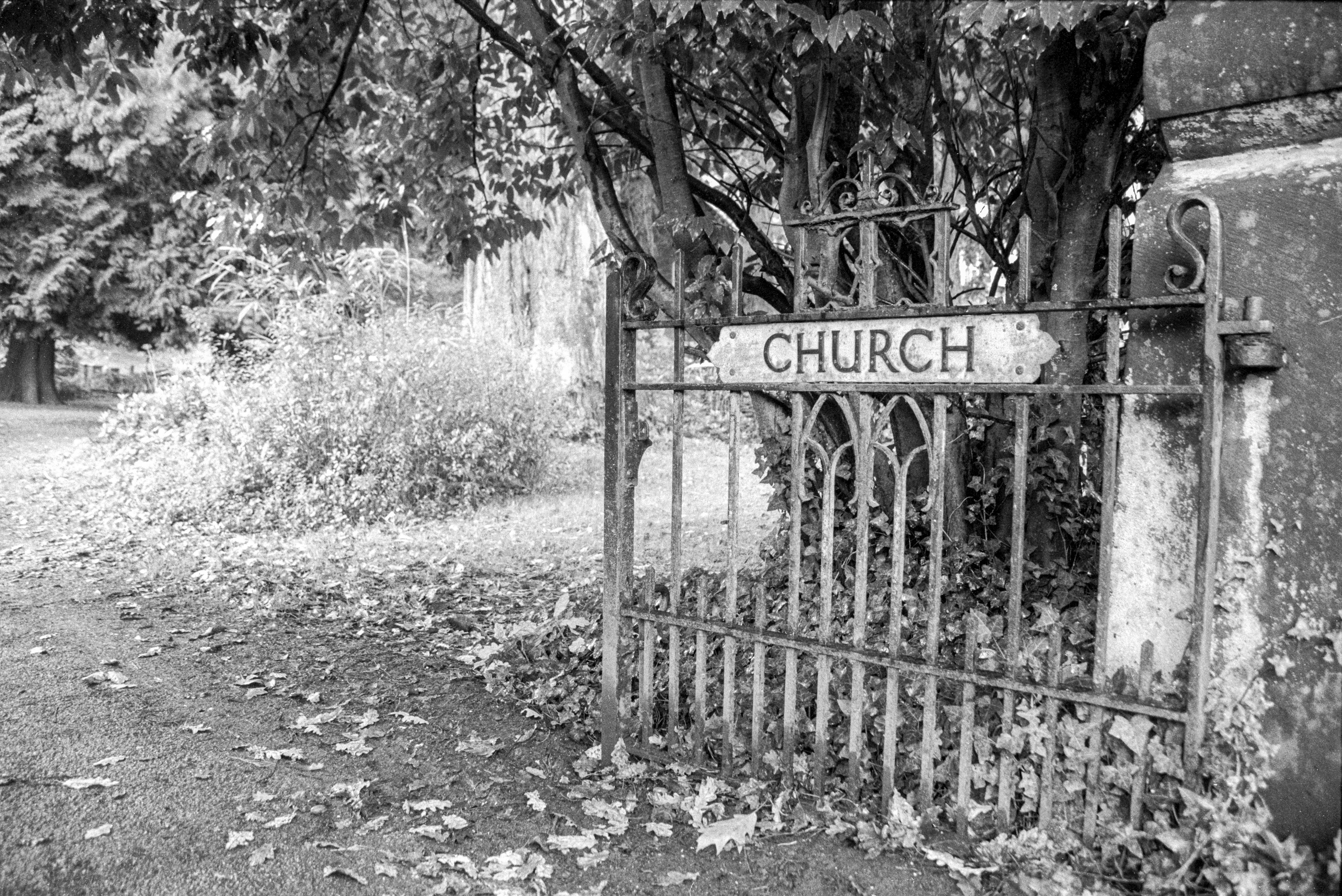 A fall morning yielded lots of leaves on the ground to accentuate a lovely wrought iron fence for the church in rural Wales. Have loved this image since I shot it in 1998. Shot on 35mm film, Canon A2E
