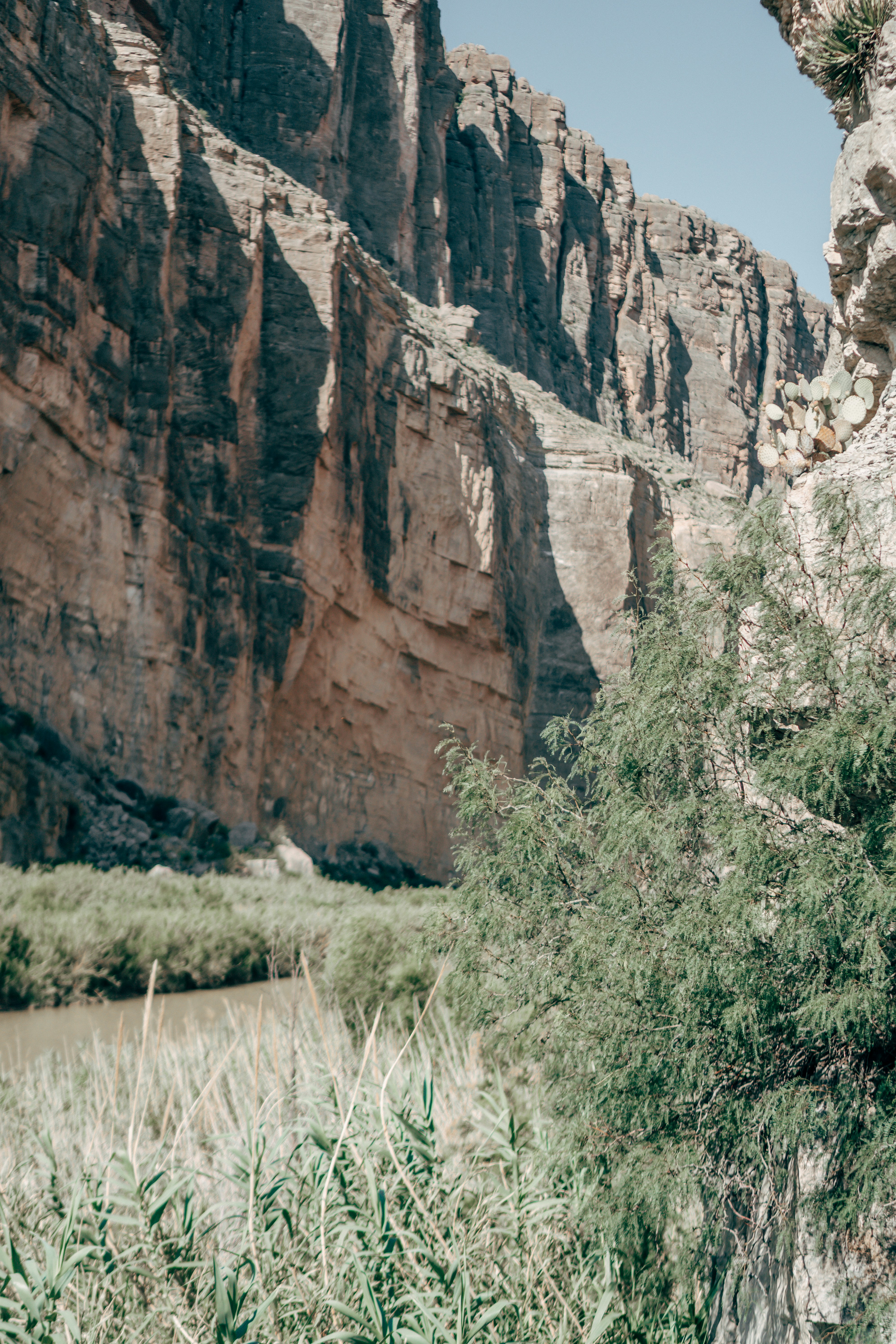 photo-1587673329730-4c6c8fce2581