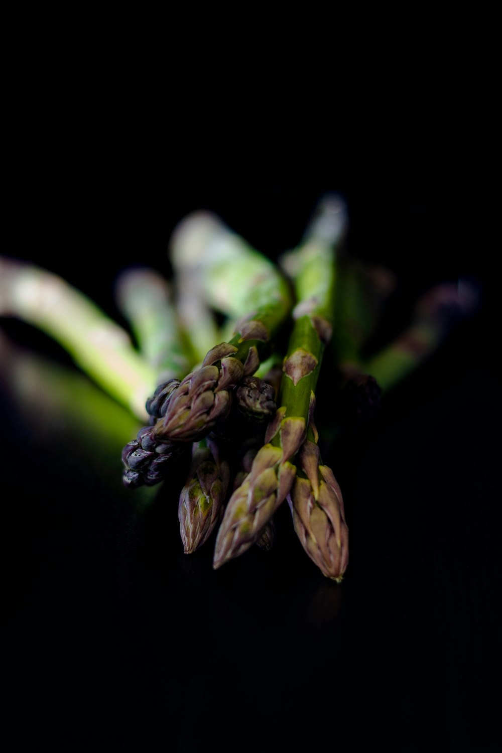 green and brown plant stem