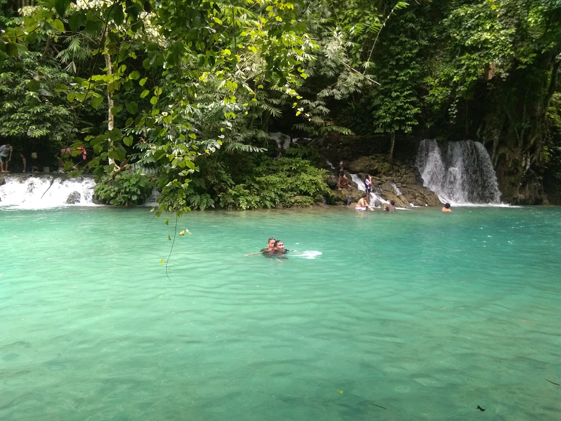 Lush green tropical forest surrounding a crystal-clear natural pool inviting guests to relax and unwind.