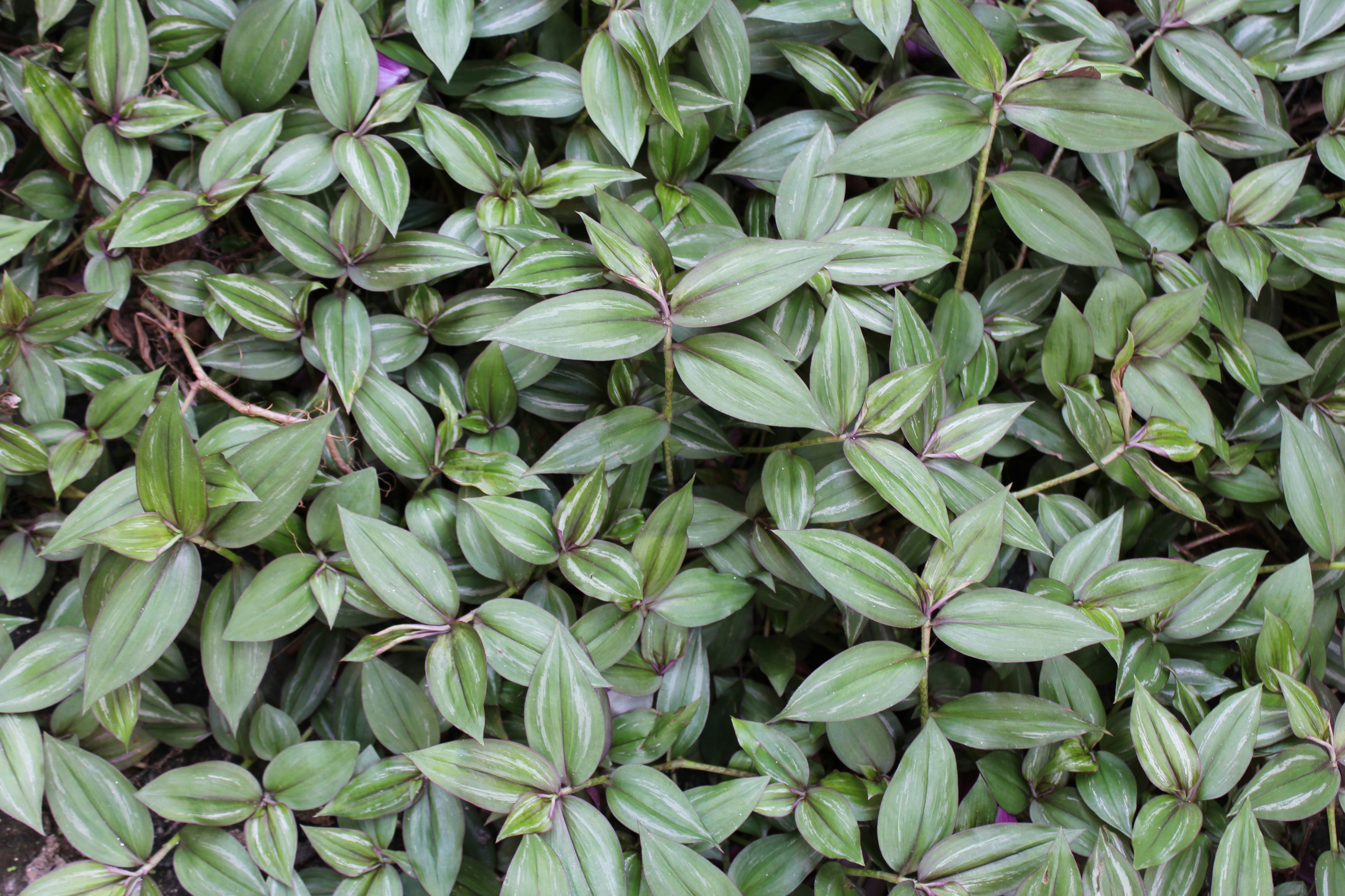 Photo by luanacooper