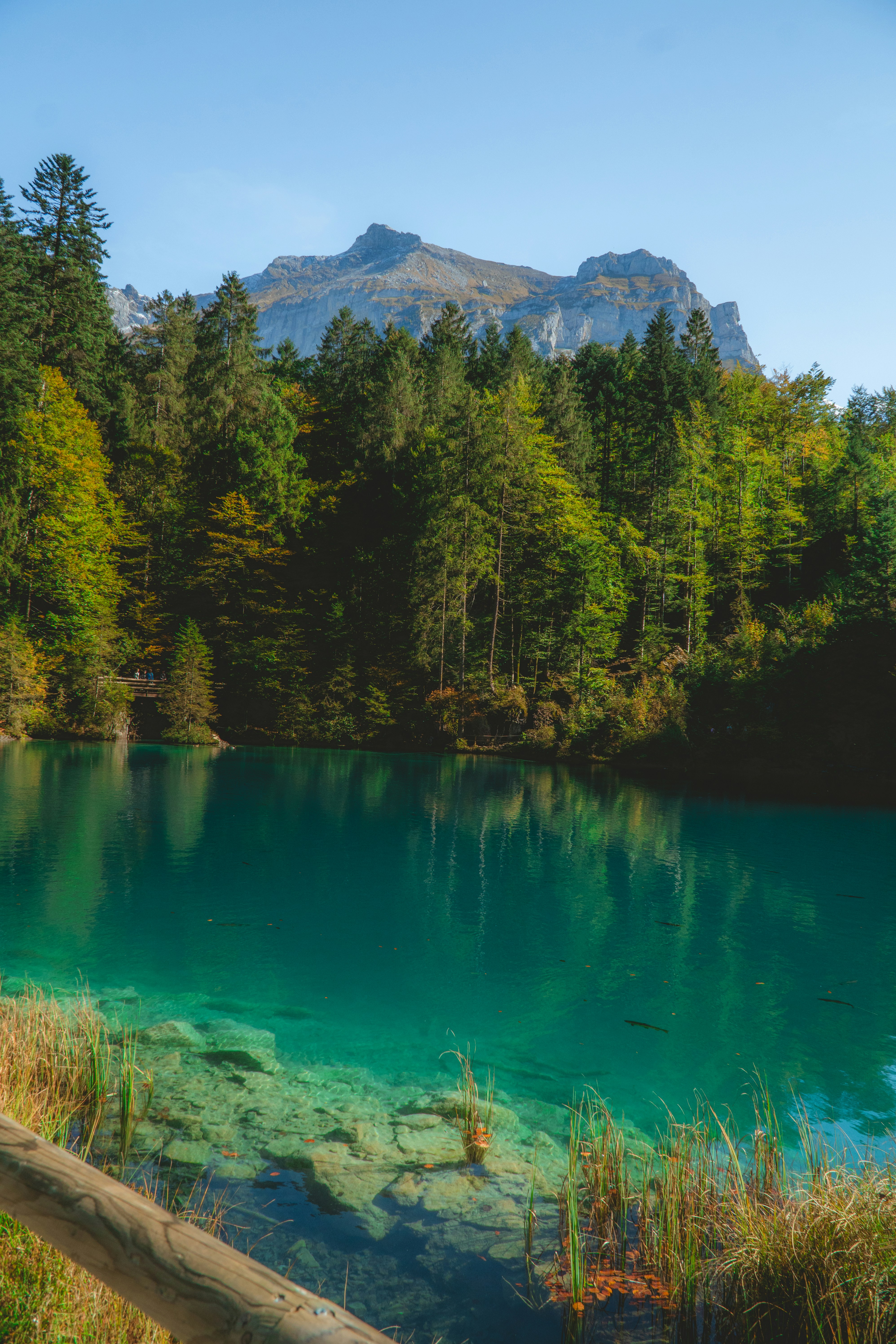 Photo by nilslindner