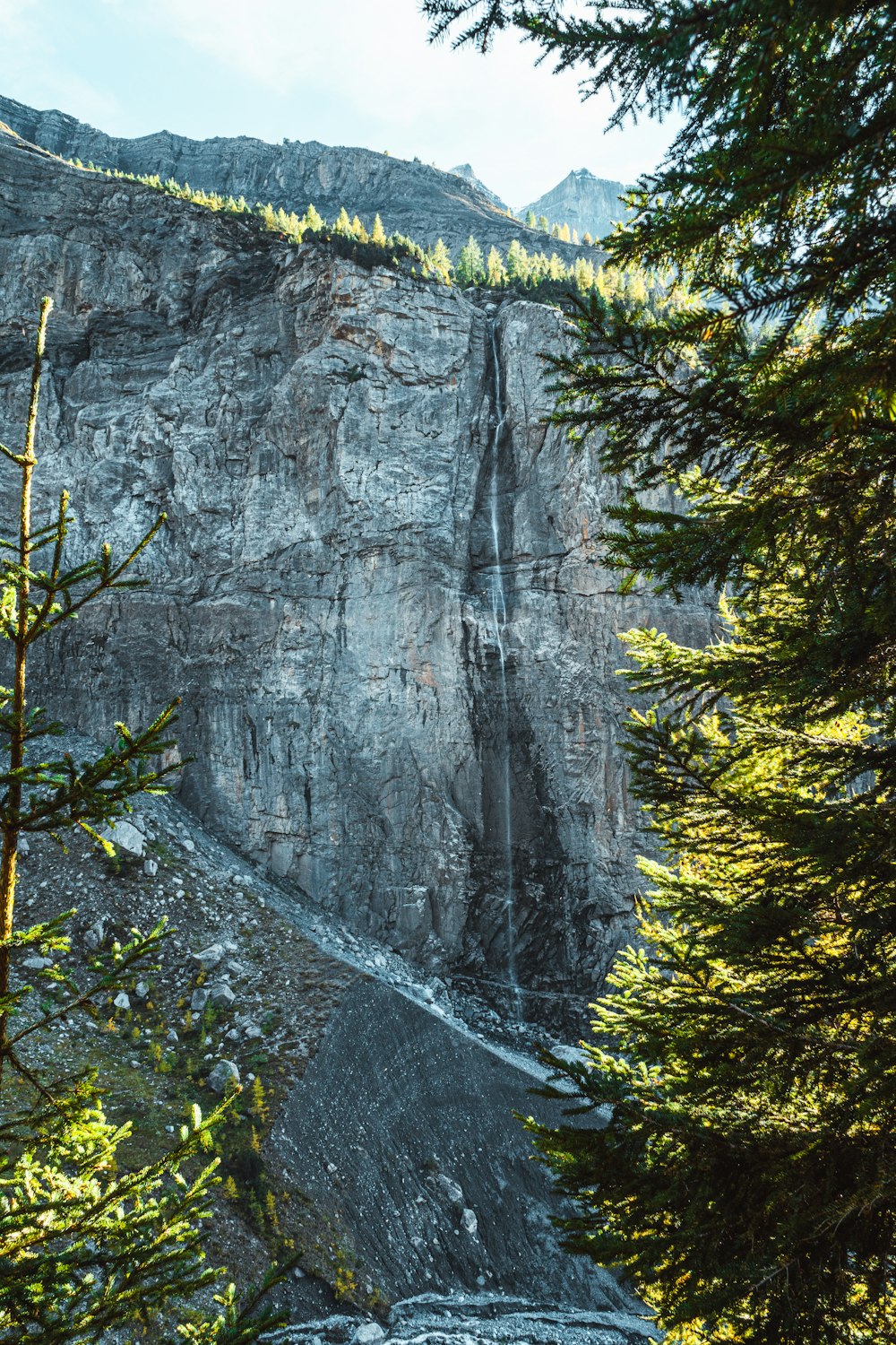 green trees near gray mountain during daytime