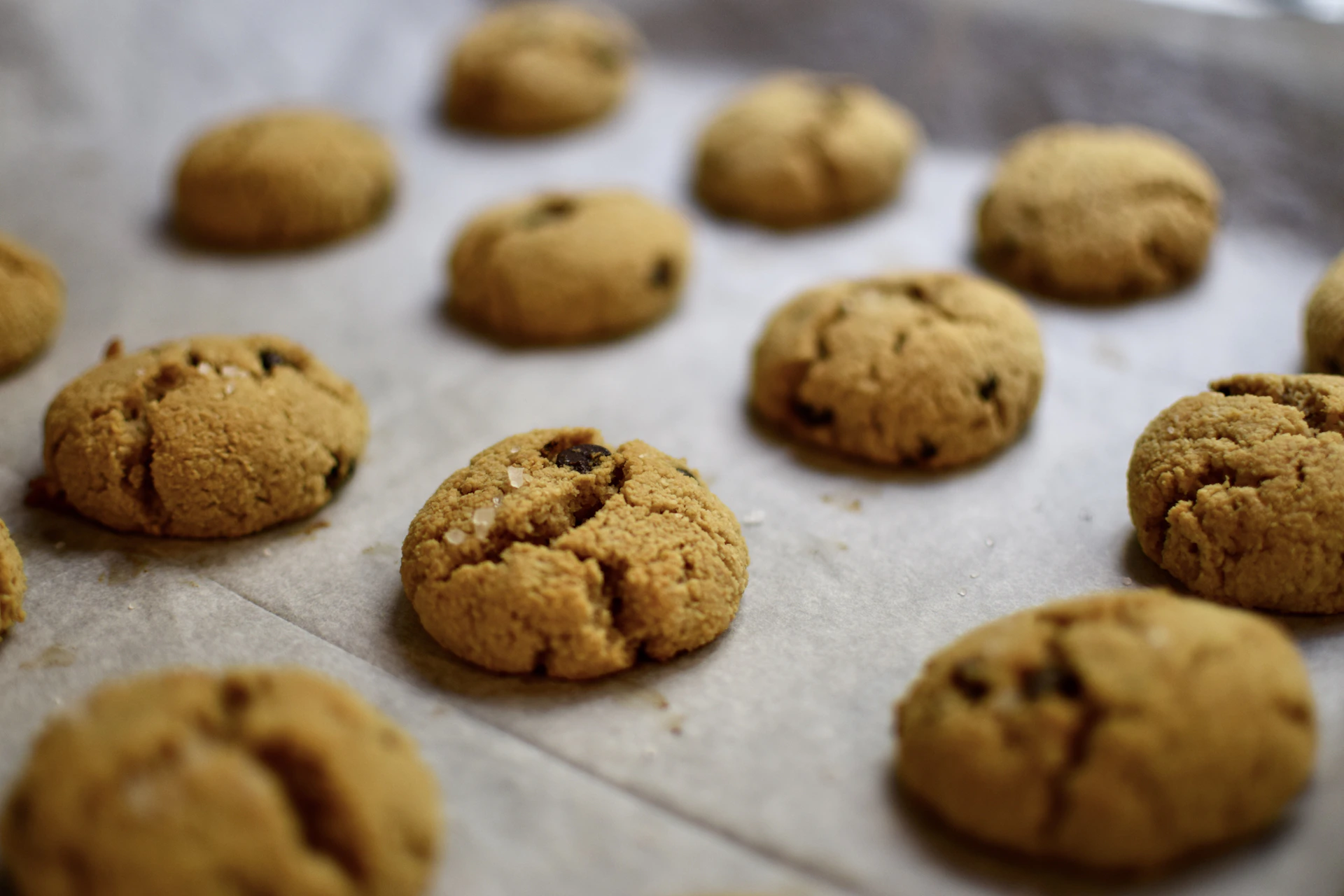brown cookies on white textile