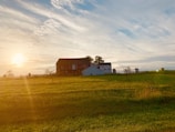 A serene farm landscape at dawn with soft light illuminating rustic barns and grazing animals.