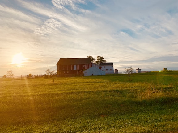 A sturdy timber frame barndominium nestled in a lush rural landscape at sunset.