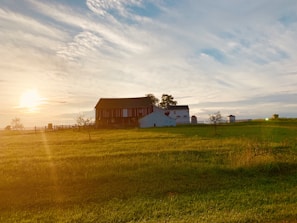 A serene farm landscape at dawn with soft light illuminating rustic barns and grazing animals.